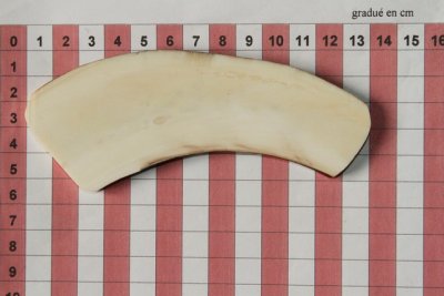 Z-Plaquette pour la coutellerie, d&eacute;fense de phacoch&egrave;re, ref:PPHACO74173