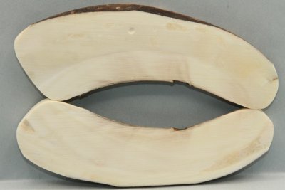 Plaquettes pour la coutellerie, d&eacute;fense de phacoch&egrave;re, ref:PPHACO74165