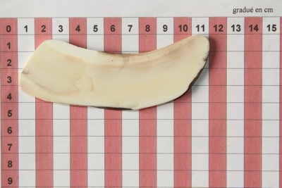 Z-Plaquette pour la coutellerie, d&eacute;fense de phacoch&egrave;re, ref:PPHACO74172