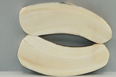 Plaquettes pour la coutellerie, d&eacute;fense de phacoch&egrave;re, ref:PPHACO74166