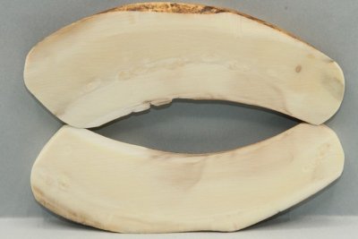 Plaquettes pour la coutellerie, d&eacute;fense de phacoch&egrave;re, ref:PPHACO74167