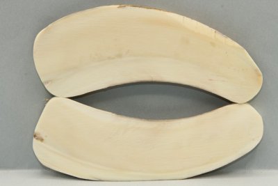 Plaquettes pour la coutellerie, d&eacute;fense de phacoch&egrave;re, ref:PPHACO74168