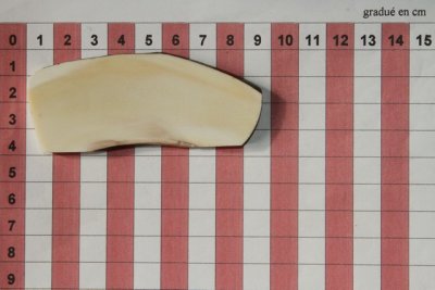 Z-Plaquette pour la coutellerie, d&eacute;fense de phacoch&egrave;re, ref:PPHACO74170