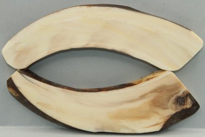 Plaquettes pour la coutellerie, d&eacute;fense de phacoch&egrave;re, ref:PPHACO74182