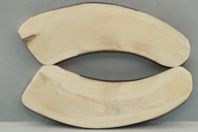 Plaquettes pour la coutellerie, d&eacute;fense de phacoch&egrave;re, ref:PPHACO74184