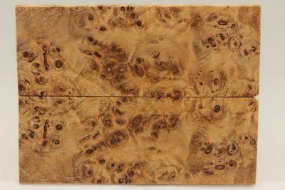 Plaquettes pour la coutellerie, Loupe de Peuplier stabilis&eacute; naturel, ref:PLpPEs74213na