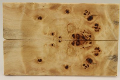 Plaquettes pour la coutellerie, Loupe de Peuplier stabilis&eacute; naturel, ref:PLpPEs74210na