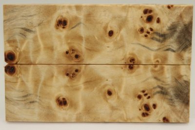 Plaquettes pour la coutellerie, Loupe de Peuplier stabilis&eacute; naturel, ref:PLpPEs74212na