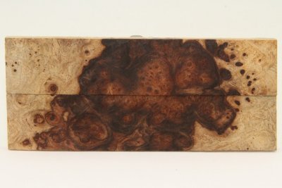 Plaquettes , Pal. du Honduras (D. stevensonii Cites E-03032/16 du 10/06/2016), ref:PPalH74258