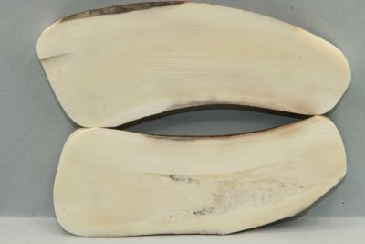 Plaquettes pour la coutellerie, d&eacute;fense de phacoch&egrave;re, ref:PPHACO74246