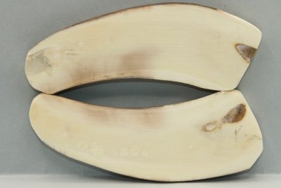 Plaquettes pour la coutellerie, d&eacute;fense de phacoch&egrave;re, ref:PPHACO74247