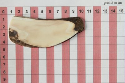 Z-Plaquette pour la coutellerie, d&eacute;fense de phacoch&egrave;re, ref:PPHACO74248