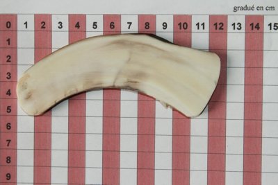 Z-Plaquette pour la coutellerie, d&eacute;fense de phacoch&egrave;re, ref:PPHACO74249