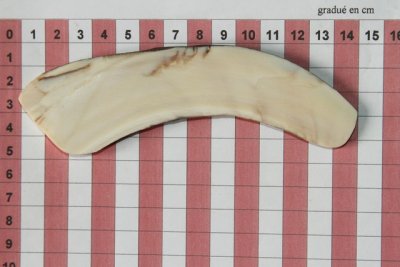 Z-Plaquette pour la coutellerie, d&eacute;fense de phacoch&egrave;re, ref:PPHACO74251