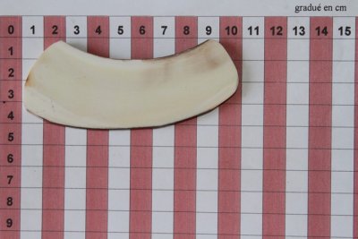 Z-Plaquette pour la coutellerie, d&eacute;fense de phacoch&egrave;re, ref:PPHACO74329