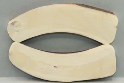 Plaquettes pour la coutellerie, d&eacute;fense de phacoch&egrave;re, ref:PPHACO74326