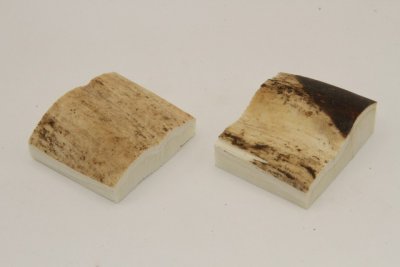 Mitres, d&eacute;fense de phacoch&egrave;re, ref:MPHACO74347