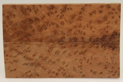 Plaquettes pour la coutellerie, Ronce de Thuya du Maroc, ref:PLpTM74423