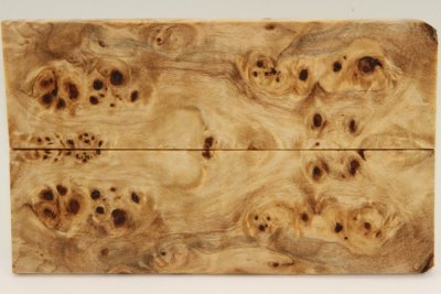 Plaquettes pour la coutellerie, Loupe de Peuplier stabilis&eacute; naturel, ref:PLpPEs74554na