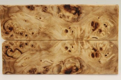 Plaquettes pour la coutellerie, Loupe de Peuplier stabilis&eacute; naturel, ref:PLpPEs74555na