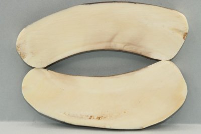 Plaquettes pour la coutellerie, d&eacute;fense de phacoch&egrave;re, ref:PPHACO74631