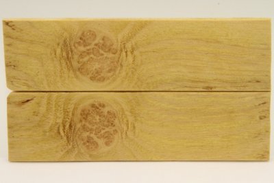 Plaquettes pour la coutellerie, Loupe d'acacia, ref:PLpAc74840
