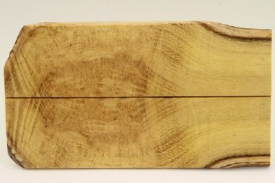 Plaquettes pour la coutellerie, Loupe d'acacia, ref:PLpAc74841