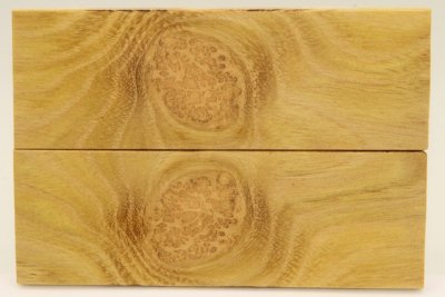 Plaquettes pour la coutellerie, Loupe d'acacia, ref:PLpAc74844