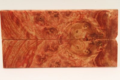 Plaquettes pour la coutellerie, Loupe de Peuplier stabilis&eacute; orange, ref:PLpPEs74987o