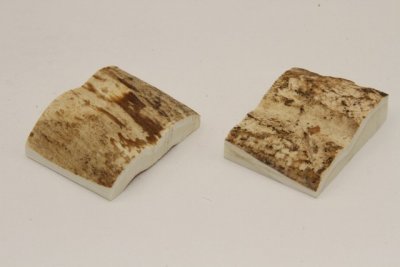 Mitres, d&eacute;fense de phacoch&egrave;re, ref:MPHACO75036