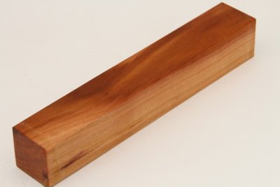 Carrelet &agrave; stylo, Prunier, ref:SPRU75054