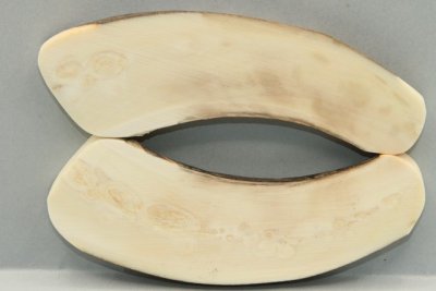 Plaquettes pour la coutellerie, d&eacute;fense de phacoch&egrave;re, ref:PPHACO75110