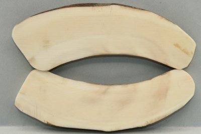 Plaquettes pour la coutellerie, d&eacute;fense de phacoch&egrave;re, ref:PPHACO75113