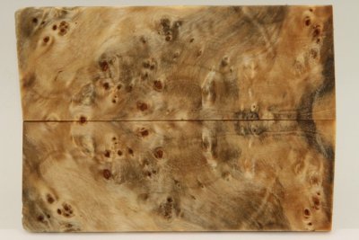 Plaquettes pour la coutellerie, Loupe de Peuplier stabilis&eacute; naturel, ref:PLpPEs75433na