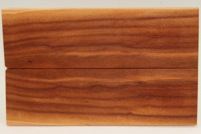 Plaquettes pour la coutellerie, Prunier, ref:PPRU75808