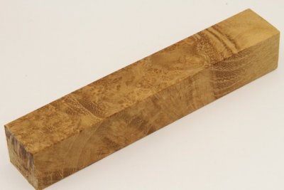 Carrelet &agrave; stylo, loupe d'Acacia, ref:SLpAc75860