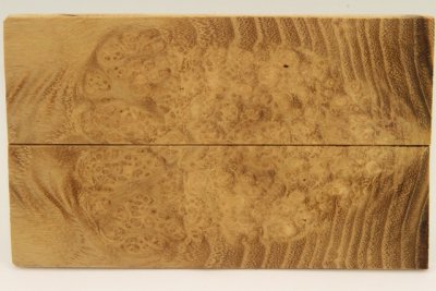 Plaquettes pour la coutellerie, Loupe d'acacia, ref:PLpAc75845