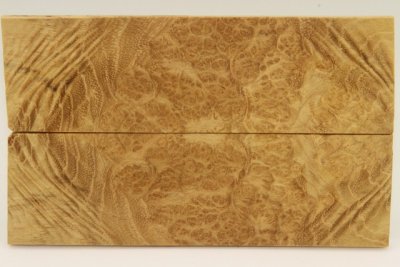 Plaquettes pour la coutellerie, Loupe d'acacia, ref:PLpAc75846