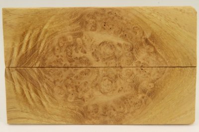 Plaquettes pour la coutellerie, Loupe d'acacia, ref:PLpAc75847