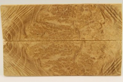 Plaquettes pour la coutellerie, Loupe d'acacia, ref:PLpAc75848