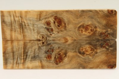 Plaquettes pour la coutellerie, Loupe de Peuplier stabilis&eacute; naturel, ref:PLpPEs75864na