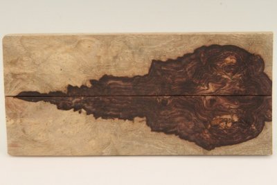 Plaquettes , Pal. du Honduras (D. stevensonii Cites E-03032/16 du 10/06/2016), ref:PPalH75919
