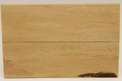 Plaquettes pour la coutellerie, Eb&egrave;ne blanc du Laos, ref:PEbBlc75926