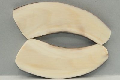 Plaquettes pour la coutellerie, d&eacute;fense de phacoch&egrave;re, ref:PPHACO75960