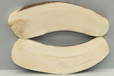 Plaquettes pour la coutellerie, d&eacute;fense de phacoch&egrave;re, ref:PPHACO75961