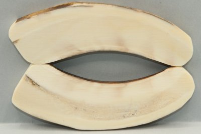 Plaquettes pour la coutellerie, d&eacute;fense de phacoch&egrave;re, ref:PPHACO75962