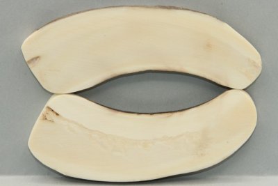Plaquettes pour la coutellerie, d&eacute;fense de phacoch&egrave;re, ref:PPHACO75963