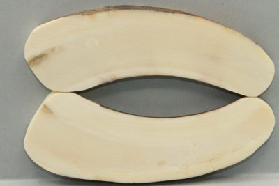 Plaquettes pour la coutellerie, d&eacute;fense de phacoch&egrave;re, ref:PPHACO75964