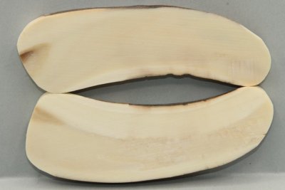 Plaquettes pour la coutellerie, d&eacute;fense de phacoch&egrave;re, ref:PPHACO76017