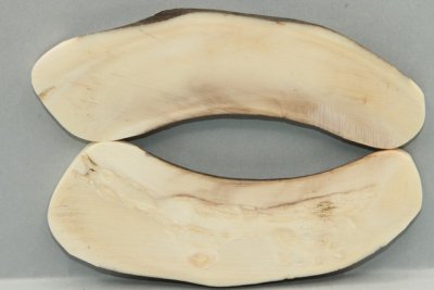 Plaquettes pour la coutellerie, d&eacute;fense de phacoch&egrave;re, ref:PPHACO76107